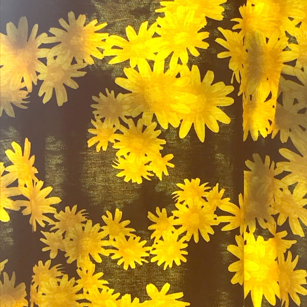 Lularoe Classic T Sunflowers!